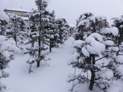 蔵王じゃないですよ