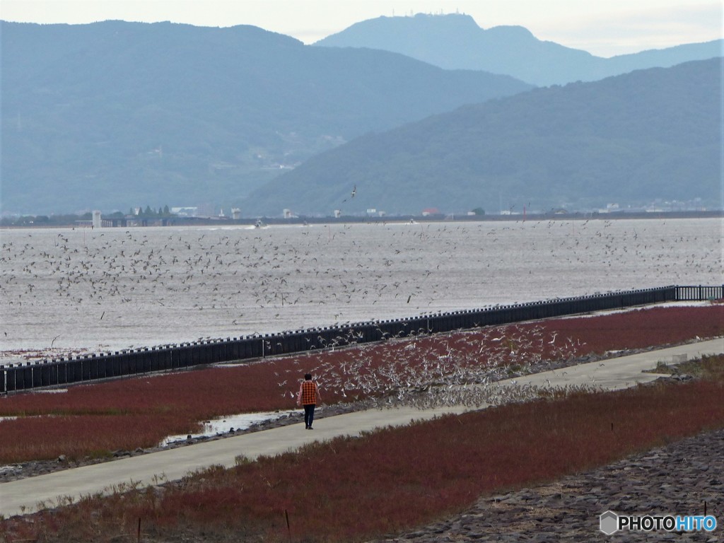 お嬢さん待って