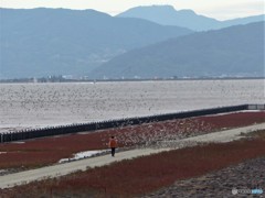 お嬢さん待って