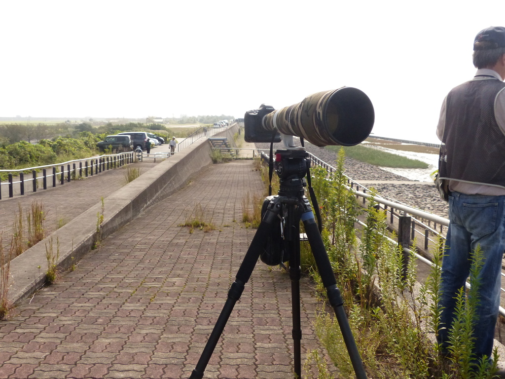 大阪から４人で