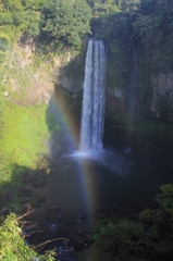 きれいな心の方には見えます