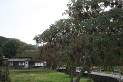 ここが喫茶店でしたが