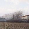 あとり