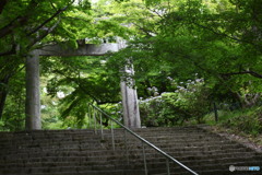 かまど神社