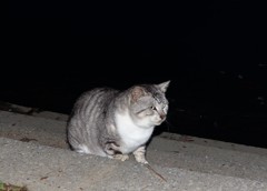 また源さんか。