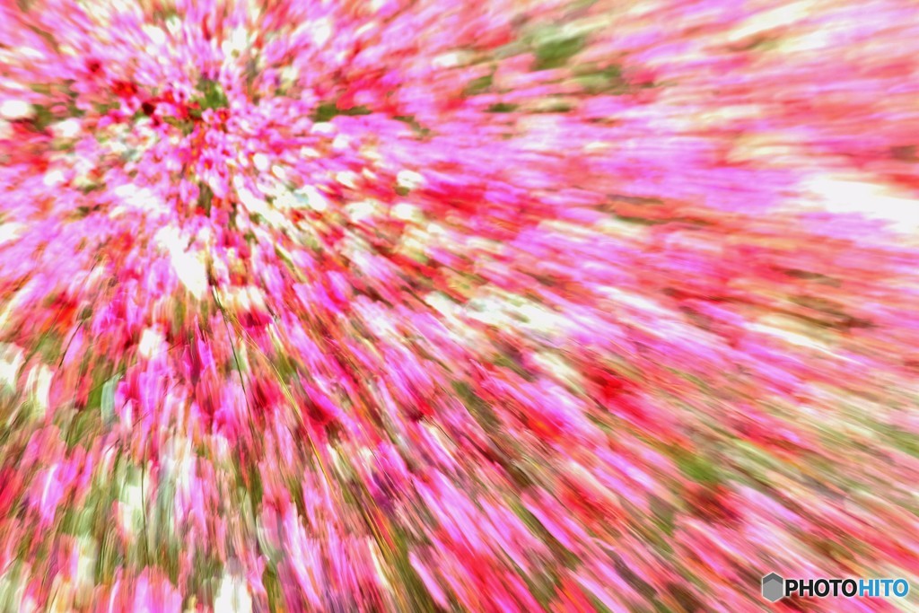 ノーベル賞おめでとう