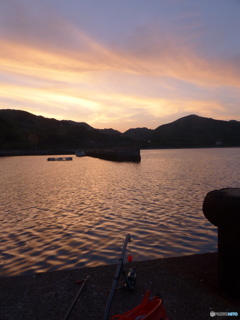 おはようございます