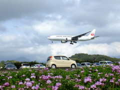 高さ制限