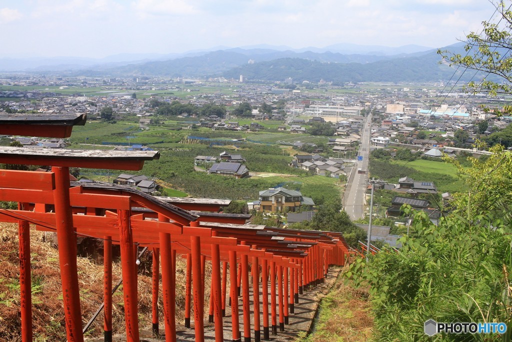 伏見じゃありません