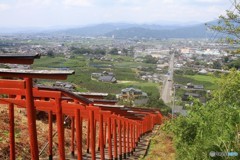 伏見じゃありません