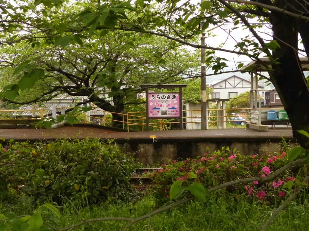 桜の駅