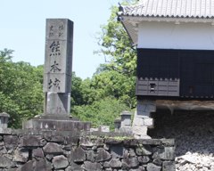 なんじゃこりゃ