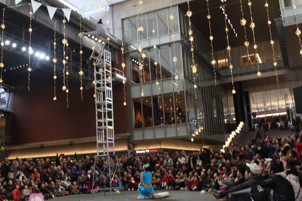 いのちづな、なし