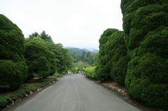 山まで全部会社