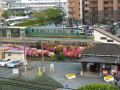 ゆふいんの森