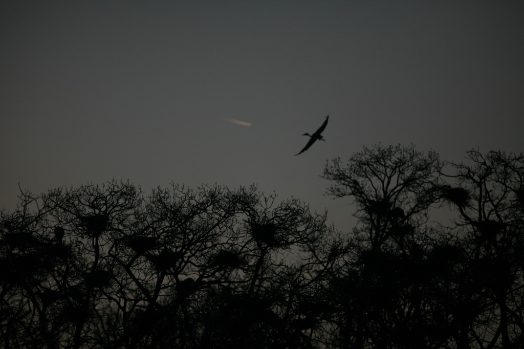 よか写真できたら報告