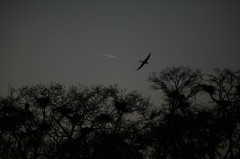 よか写真できたら報告