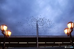 くらいとあまり舞いません