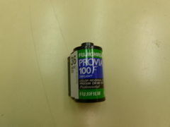 品種が少ないですね