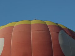 鳩が