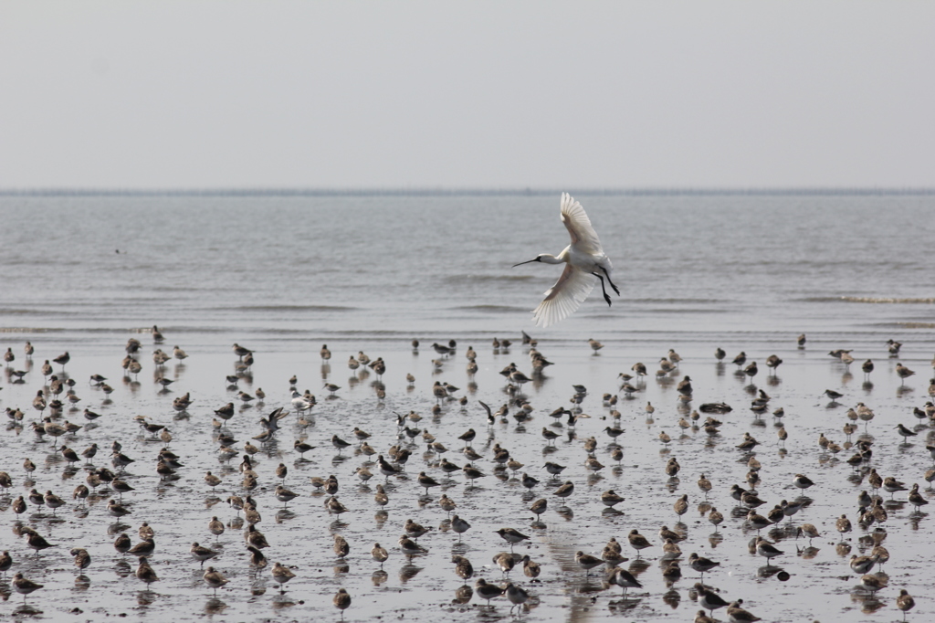 降りれないよ１