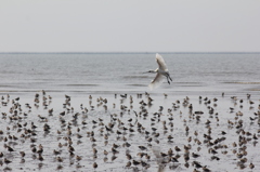 降りれないよ１