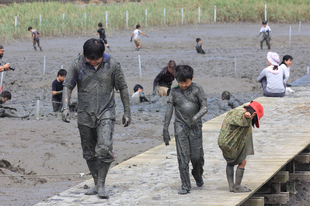 かわいいムツゴロウ