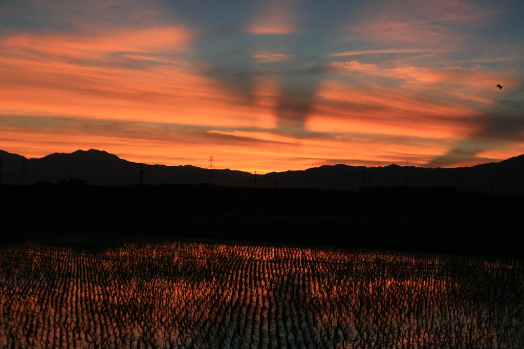 きれいかったですが