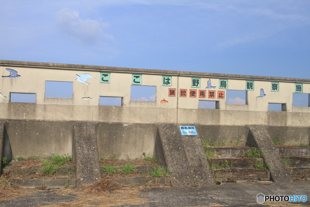 ここは鹿島干潟