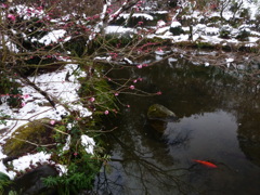 写し方は、こうばい