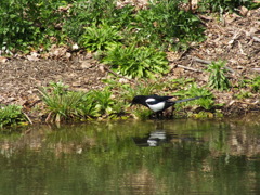 いつでも、会いに来てください。
