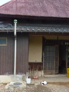 看板ネコ