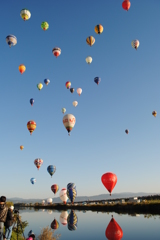 １１月見に来てね