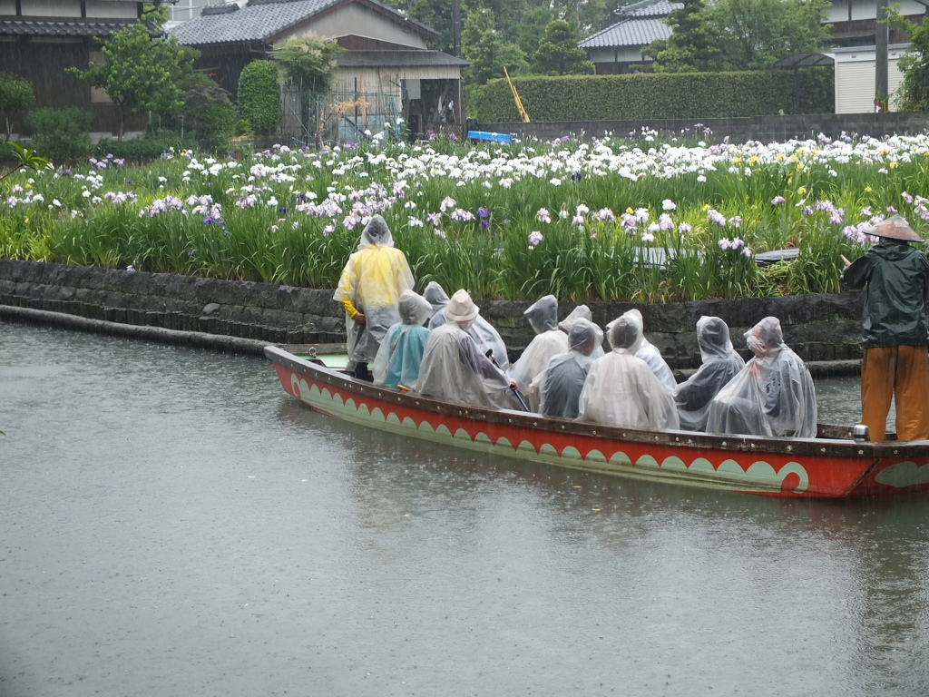 菖蒲園