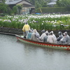 菖蒲園