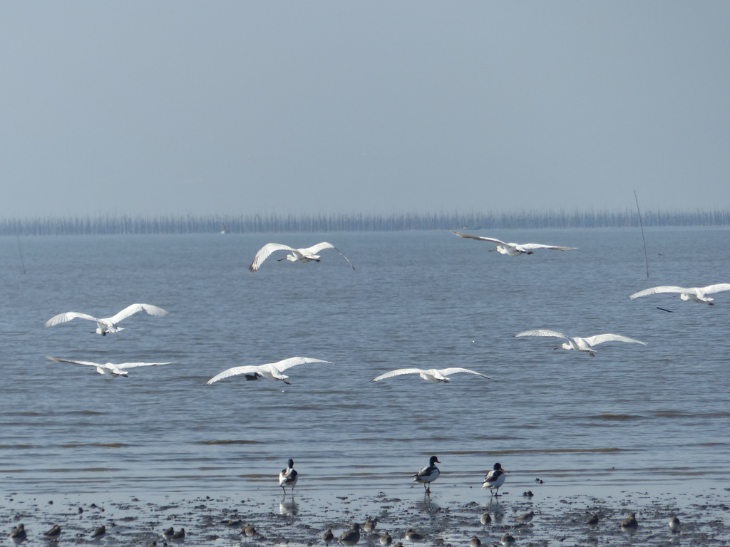 あっち行っちゃダメ