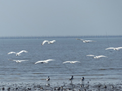 あっち行っちゃダメ