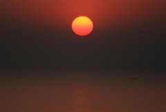 日の丸いっぱい見たいな