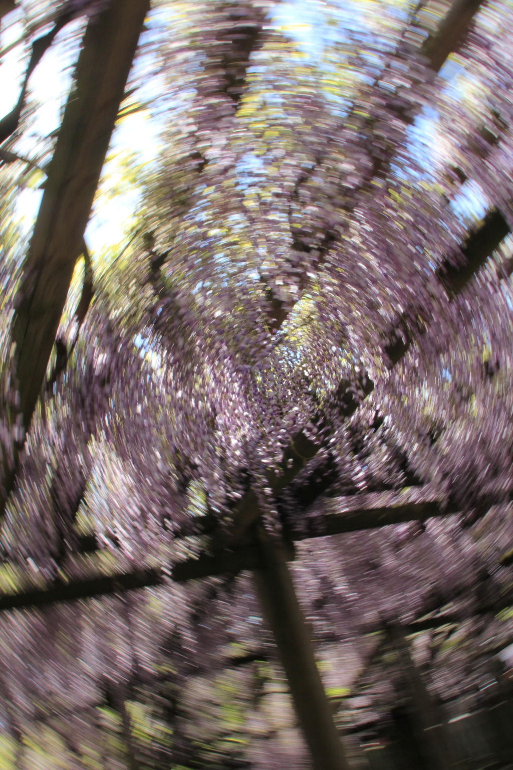 いつもより回ってます