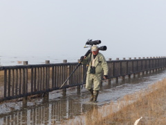 手伝いましょうか