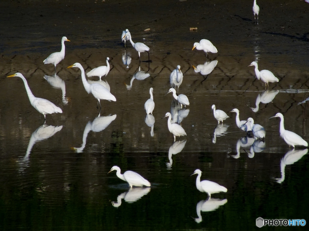 水がなくなった日