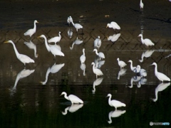 水がなくなった日