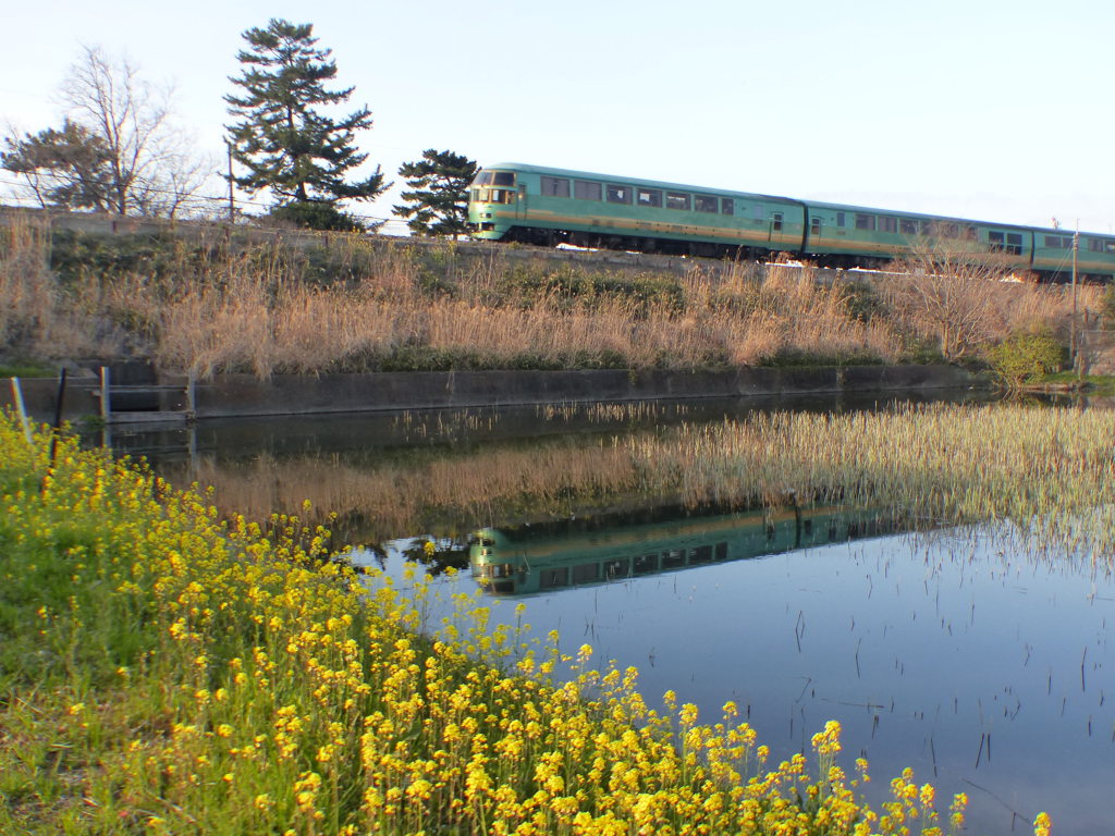 古くてもいいんです