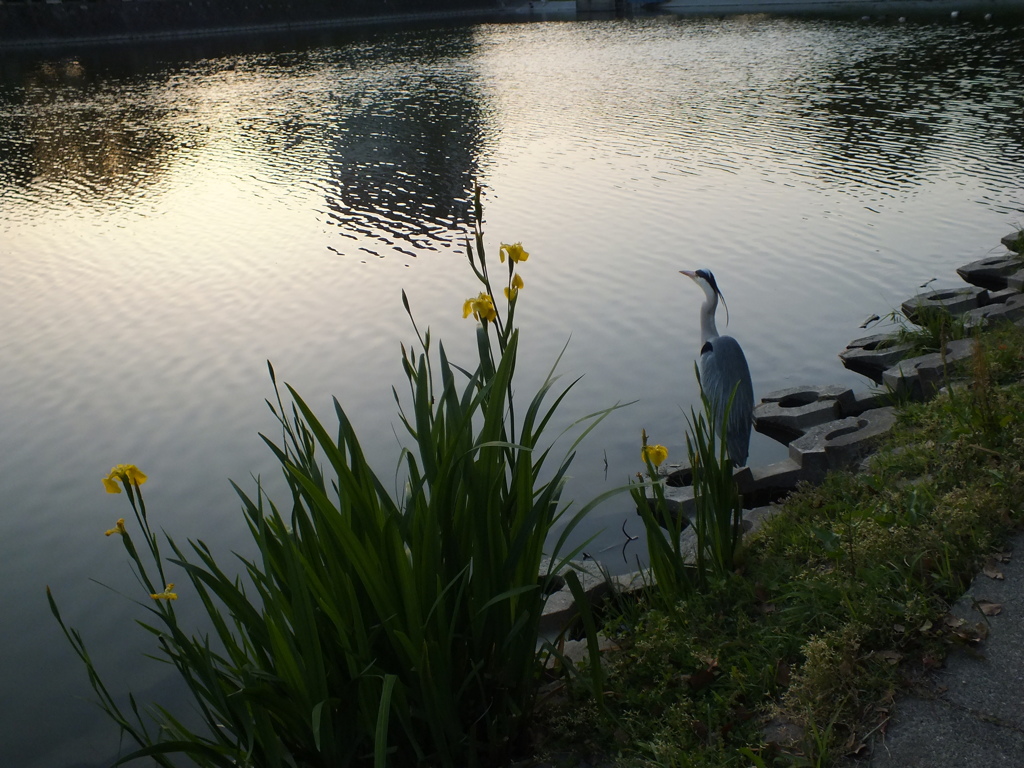 たたずむ