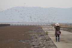 あまり、ちかずかないで