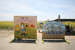 モデルがいない