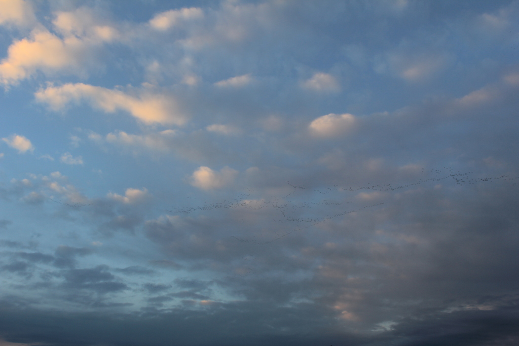 見えますか、びっくり