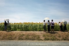 暑中お見舞い申し上げます