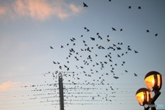 数が読めないなあ