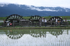 以前の絵ですが